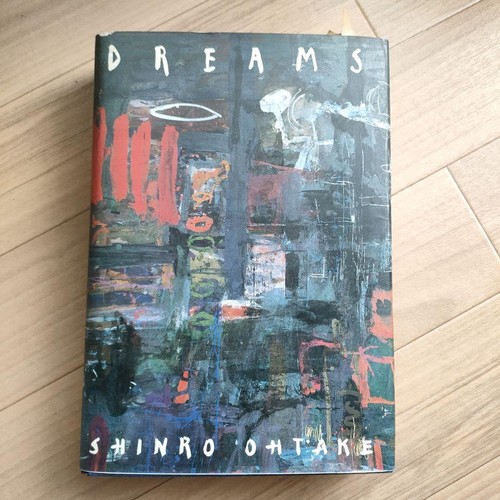 Shinro ohtake dreams art - ohtake, book