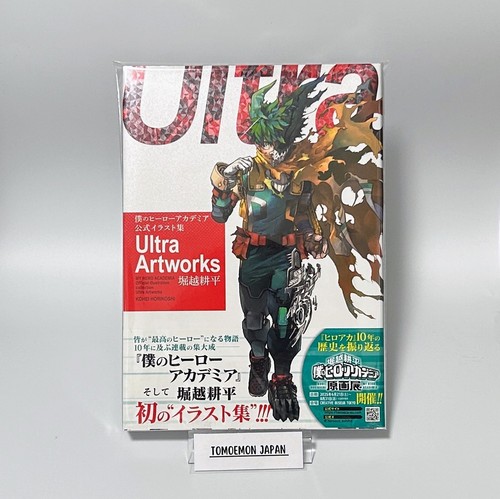 Hero academia libro - hero,